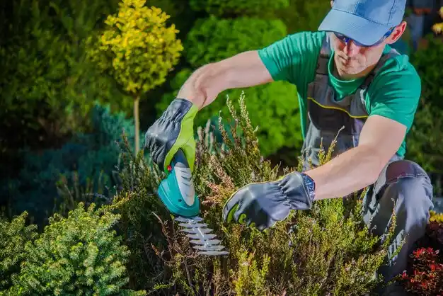 landscaping services Sagamore